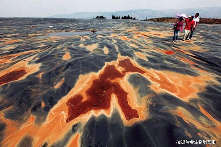 seek生物炭基肥助力国家重点研发计划项目实施